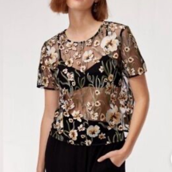 Aritzia Tops - Aritzia Little Moon mesh ebroidered top